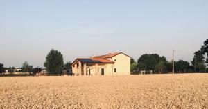 a house in the middle of a wheat field at B&B Casa Egle in Corbola