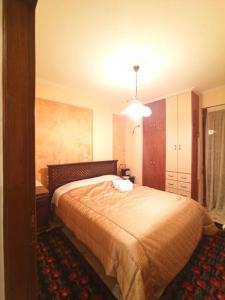 ein Schlafzimmer mit einem großen Bett in einem Zimmer in der Unterkunft VILLA ΚΟΡΑΛΙΑ in Tripolis