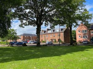 a tree in the middle of a grass field at River View in Dumfries