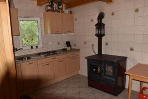 Kuchyň nebo kuchyňský kout v ubytování Podklanci-house in the forest