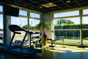 a gym with cardio equipment and a large window at Best Western Plus Hôtel Le Rhénan & Restaurant Chez Claude in Dorlisheim +32 photos