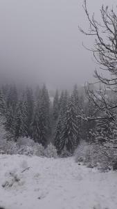 Apartmani Rvović durante l'inverno