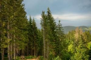Paesaggio naturale nelle vicinanze dell'appartamento