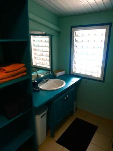 a blue bathroom with a sink and two windows at Logement privatif avec piscine & barbecue partagés in Kourou