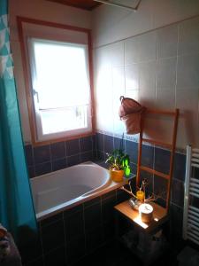 a bathroom with a tub and a window at Le Cocon de l'Epicléa, Chorges, entre lac et montagnes in Chorges
