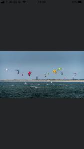 Goedereede的住宿－B&B Röderhaus Goedereede，一群风筝在空中飞越水面
