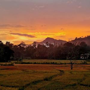 Landskap semula jadi dekat dengan hotel