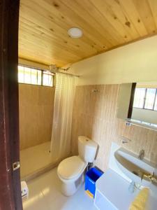 a bathroom with a toilet and a sink and a tub at Suanoga - Finca Turística in Pesca