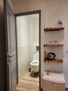 une salle de bain avec toilettes dans une chambre dans l'établissement Chambres privées à Hautvillers, berceau du champagne avec salle de bain et toilettes incluses, à Hautvillers 12 autres photos