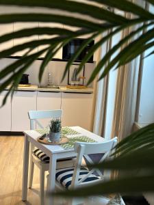 a table and chairs with a potted plant in a kitchen at 3C Boutique Apartments Nrº14 in Mainburg