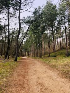 Foto dalla galleria di Appartement A confortable et lumineux a Neufchâtel-Hardelot Altre 33 foto