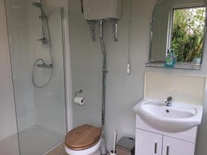 a bathroom with a toilet and a sink and a shower at Impstone House B & B in Bower Chalke