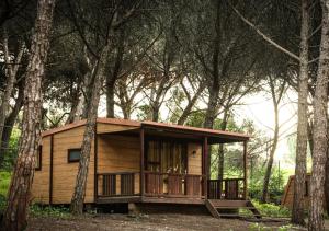 una pequeña cabaña en el bosque con árboles en Lisboa Bungalows en Lisboa