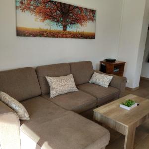 ベニドルムにあるCarlos V Levanteのソファ付きのリビングルーム、木の絵画