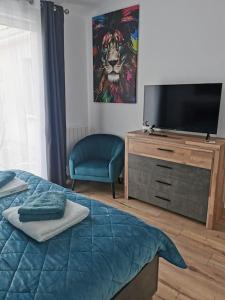 シャンプニエにあるAngoulême Nord location Chambre indépendanteのベッドルーム(ベッド1台、薄型テレビ付)
