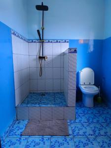 a blue bathroom with a shower and a toilet at Antsirabe Hotel in Antsirabe
