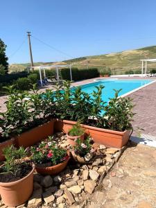 eine Reihe Topfpflanzen neben einem Pool in der Unterkunft Agriturismo Sant'Agata in Piana degli Albanesi