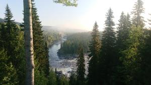 a river in the middle of a forest with trees at Ristafallets Camping in Nyland