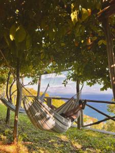 a man laying in a hammock under a tree at Casa Flora B&B in Vietri