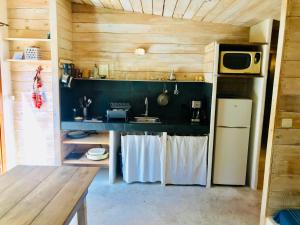 uma pequena cozinha com um lavatório e um frigorífico em La rose bleue (2) em Olmeto