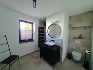 a bathroom with a sink and a mirror and a toilet at Ruegen Ferienhaus 300 in Sehlen