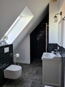 a bathroom with a toilet and a sink at Ruegen Ferienhaus 300 in Sehlen