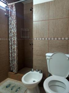 a bathroom with a toilet and a shower at Mardi - Departamentos de alquiler temporario in Bialet Massé