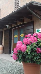 un pot de fleurs roses devant un bâtiment dans l'établissement Albergo Da Ca' Vecia, à Spilamberto