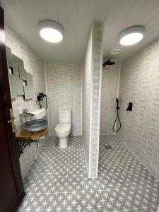 a bathroom with a toilet and a sink at Glamping Dome Elysian Fields in Helston