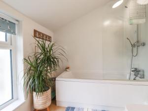 a bathroom with a white tub and a plant at Pepperpot Cottage in Bude +21 photos