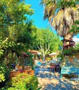 een patio met stoelen en tafels en een palmboom bij Kemerbag 29 Guest House 12 Yaş Üstü in Bozcaada