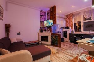 a living room with a couch and a fireplace at City Nest Maria Short Stay in Baia Mare