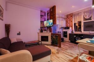 a living room with a couch and a fireplace at City Nest Maria by Short-Stay in Baia Mare