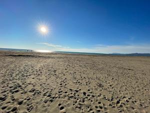 una spiaggia con impronte di piedi nella sabbia con il sole nel cielo di Appartamento Mareadi a Marina di Grosseto