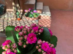 Ein Haufen rosa Blumen in einer Vase in der Unterkunft Casa con giardinetto al centro di Roma in Rom