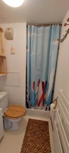 Un baño con inodoro y cortina de ducha. en Bal2502, en Manigod