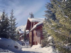 L'établissement Appartement Cosy 6 Pers, Terrasse, Parking, Navettes Gratuites – Hameau des Marmottes, Les Belleville - FR-1-574-47 en hiver