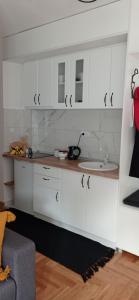 Kuchyň nebo kuchyňský kout v ubytování Apartman Vule + 3 fotografie