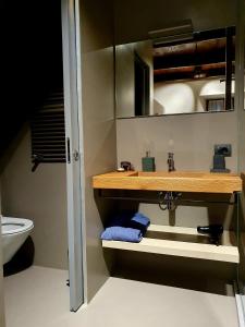 een badkamer met een wastafel en een toilet bij B&B Fonteabate Residenza di Charme in Bagno di Romagna