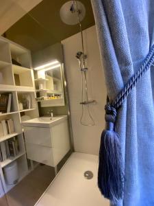 uma casa de banho com uma cortina de chuveiro azul e um lavatório. em Le jardin de Ponteves em Aix-en-Provence