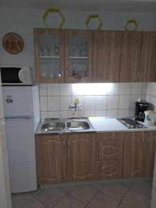 Apartmani Robert的厨房或小厨房