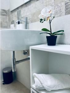 a bathroom with a sink and a flower on a shelf at Alkecè White in Udine
