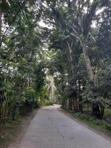 uma estrada de terra com árvores em cada lado dela em ES holiday home em Zamboanga