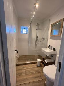 a bathroom with a shower and a toilet and a sink at Vacas Felizes Villas - Casa da Bilha in Rabo de Peixe
