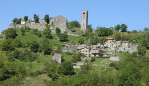 a village on top of a hill with a castle at Grillo Rosso Taverna in Molazzana