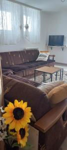 sala de estar con sofá y mesa con girasol en Apartman Popović - Vila Gorštak, en Divčibare