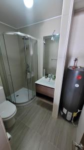 uma casa de banho com um chuveiro, um WC e um lavatório. em Departamento full equipado Pucón em Pucón