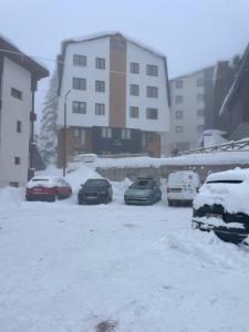 a group of cars parked in a parking lot covered in snow at Vila Jahor Superior Apartman 16 “Minja” in Jahorina