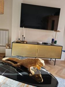 TV a/nebo společenská místnost v ubytování Escapade Mâconnaise Spa-Sauna-Ciel de pluie tropicale-Champagne Nuit Romantique