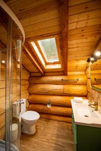 a bathroom with a toilet and a sink in a log cabin at Pensiunea Mireasma Bucovinei in Crucea